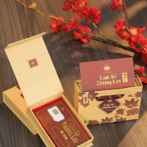 Hộp sim phong thủy Linh Số Thượng Lưu của Kim Tâm Cát